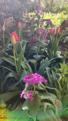 Прикрепленное изображение: Весна.jpeg